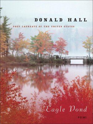 cover image of Eagle Pond